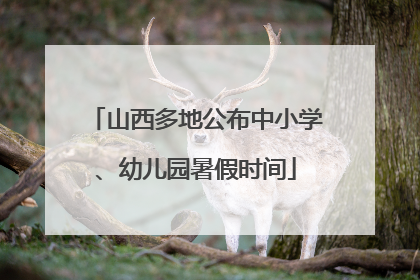 山西多地公布中小学、幼儿园暑假时间