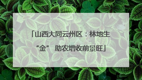 山西大同云州区：林地生“金” 助农增收前景旺