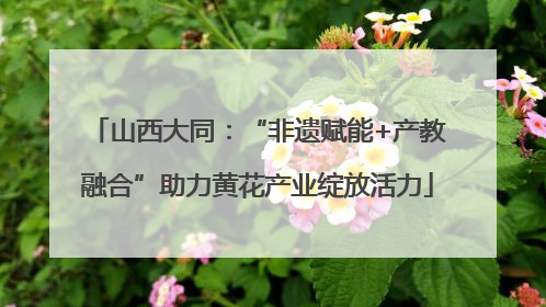 山西大同：“非遗赋能+产教融合”助力黄花产业绽放活力