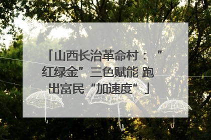 山西长治革命村：“红绿金”三色赋能 跑出富民“加速度”