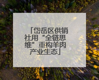 岱岳区供销社用“全链思维”重构羊肉产业生态