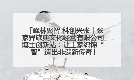峰林聚智 科创兴张丨张家界旅典文化经营有限公司博士创新站：让土家织锦“智”造出非遗新传奇