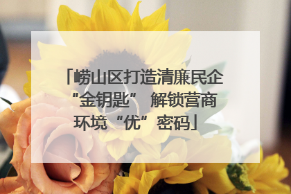 崂山区打造清廉民企“金钥匙” 解锁营商环境“优”密码