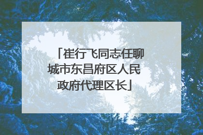 崔行飞同志任聊城市东昌府区人民政府代理区长