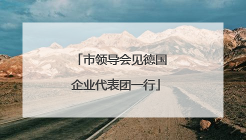 市领导会见德国企业代表团一行