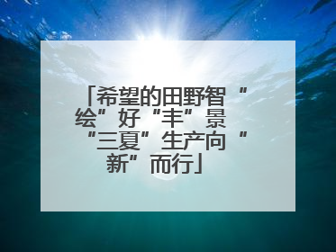 希望的田野智“绘”好“丰”景 “三夏”生产向“新”而行