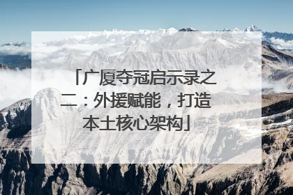 广厦夺冠启示录之二：外援赋能，打造本土核心架构