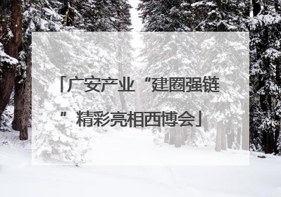 广安产业“建圈强链”精彩亮相西博会