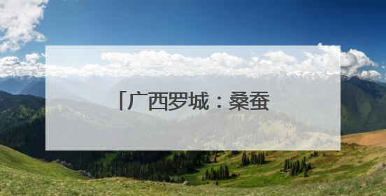 广西罗城：桑蚕丰收 助农增收