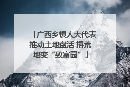 广西乡镇人大代表推动土地盘活 撂荒地变“致富园”