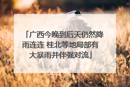 广西今晚到后天仍然降雨连连 桂北等地局部有大暴雨并伴强对流