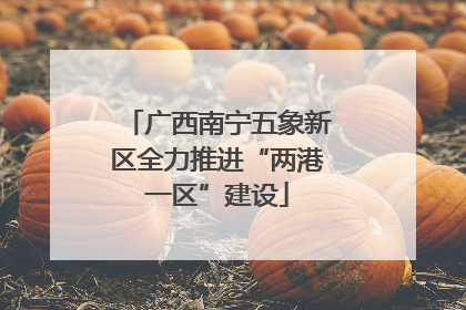 广西南宁五象新区全力推进“两港一区”建设