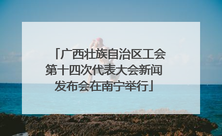 广西壮族自治区工会第十四次代表大会新闻发布会在南宁举行