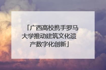 广西高校携手罗马大学推动建筑文化遗产数字化创新