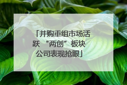 并购重组市场活跃 “两创”板块公司表现抢眼