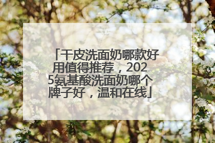 干皮洗面奶哪款好用值得推荐，2025氨基酸洗面奶哪个牌子好，温和在线