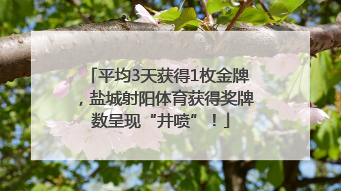 平均3天获得1枚金牌，盐城射阳体育获得奖牌数呈现“井喷”！