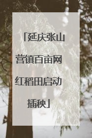 延庆张山营镇百亩网红稻田启动插秧