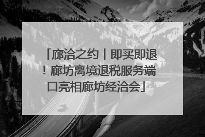 廊洽之约丨即买即退！廊坊离境退税服务端口亮相廊坊经洽会