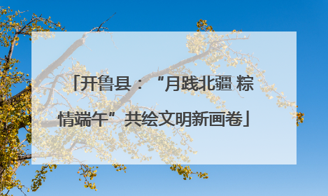 开鲁县：“月践北疆 粽情端午”共绘文明新画卷