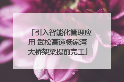 引入智能化管理应用 武松高速杨家湾大桥架梁提前完工