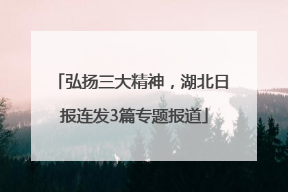 弘扬三大精神，湖北日报连发3篇专题报道