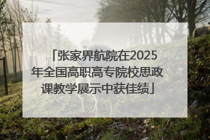 张家界航院在2025年全国高职高专院校思政课教学展示中获佳绩