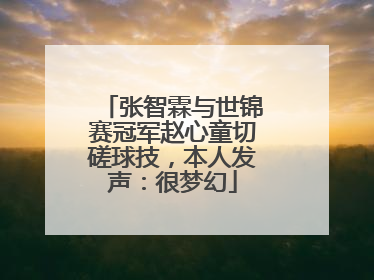 张智霖与世锦赛冠军赵心童切磋球技，本人发声：很梦幻