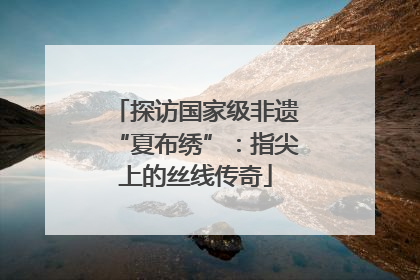 探访国家级非遗“夏布绣”：指尖上的丝线传奇
