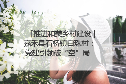 推进和美乡村建设｜嘉禾县石桥镇白珠村：党建引领破“空”局 乡贤聚力绘就新图景