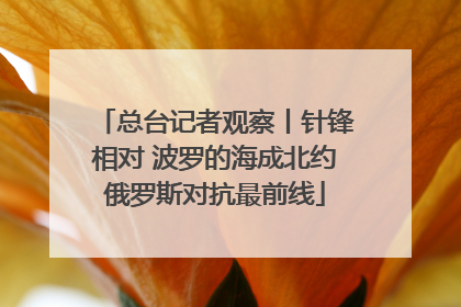 总台记者观察丨针锋相对 波罗的海成北约俄罗斯对抗最前线
