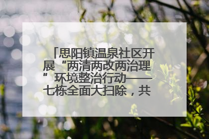 思阳镇温泉社区开展“两清两改两治理”环境整治行动——七栋全面大扫除，共建洁净家园