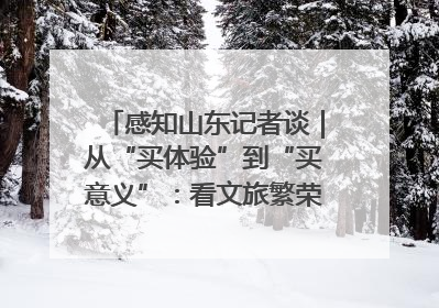感知山东记者谈｜从“买体验”到“买意义”：看文旅繁荣背后的幸福新定义