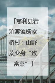 慈利县岩泊渡镇杨家桥村：山野菜变身“致富菜”