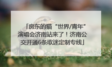 房东的猫“世界/青年”演唱会济南站来了！济南公交开通6条歌迷定制专线