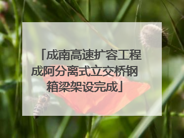 成南高速扩容工程成阿分离式立交桥钢箱梁架设完成