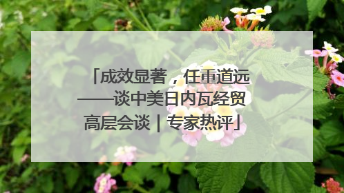成效显著，任重道远——谈中美日内瓦经贸高层会谈｜专家热评