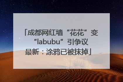 成都网红墙“花花”变“labubu”引争议 最新：涂鸦已被抹掉