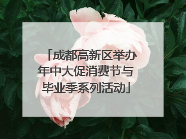 成都高新区举办年中大促消费节与毕业季系列活动