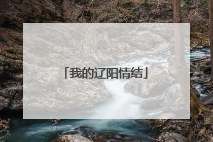 我的辽阳情结