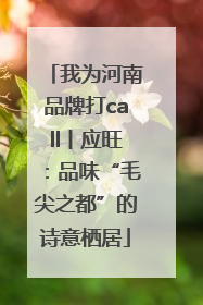 我为河南品牌打call丨应旺：品味“毛尖之都”的诗意栖居