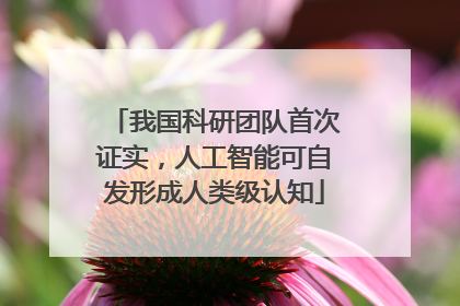 我国科研团队首次证实，人工智能可自发形成人类级认知