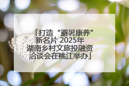 打造“避暑康养”新名片 2025年湖南乡村文旅投融资洽谈会在桃江举办