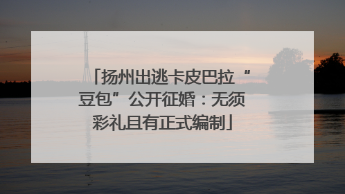 扬州出逃卡皮巴拉“豆包”公开征婚：无须彩礼且有正式编制