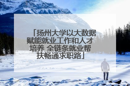 扬州大学以大数据赋能就业工作和人才培养 全链条就业帮扶畅通求职路