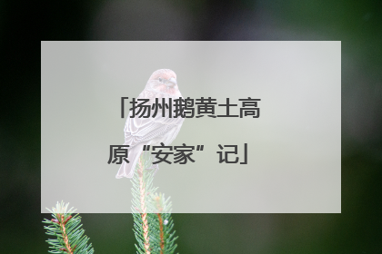 扬州鹅黄土高原“安家”记