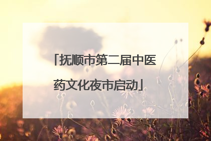 抚顺市第二届中医药文化夜市启动