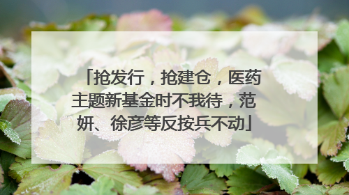 抢发行，抢建仓，医药主题新基金时不我待，范妍、徐彦等反按兵不动