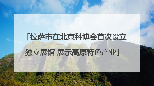 拉萨市在北京科博会首次设立独立展馆 展示高原特色产业