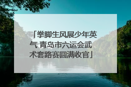 拳脚生风展少年英气 青岛市六运会武术套路赛圆满收官